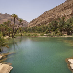 Coast & Wadi Shab