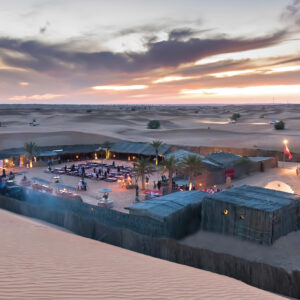 Dune Desert Safari – Dubai Desert Conservation Reserve