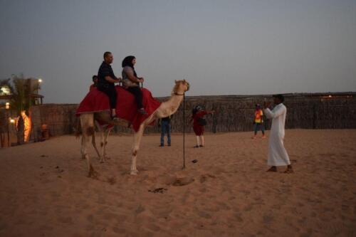 Camel-Ride-Dubai-By-Foot