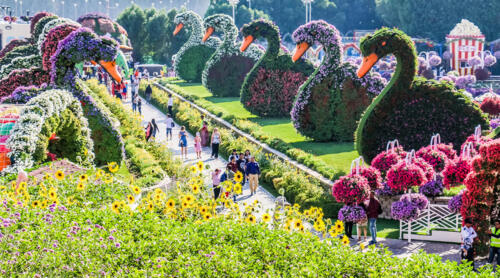 flowers-trees-miracle-garden