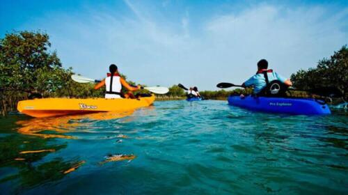 mangrove-kayaking-abu-dhabi-4
