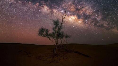 overnight-desert-safari-abu-dhabi-4