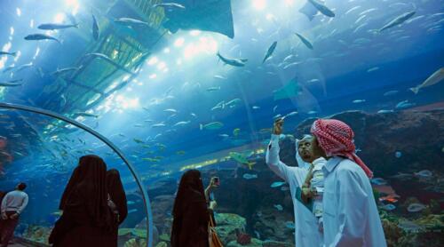 underwater-tunnel-in-dubai-aquarium (1)